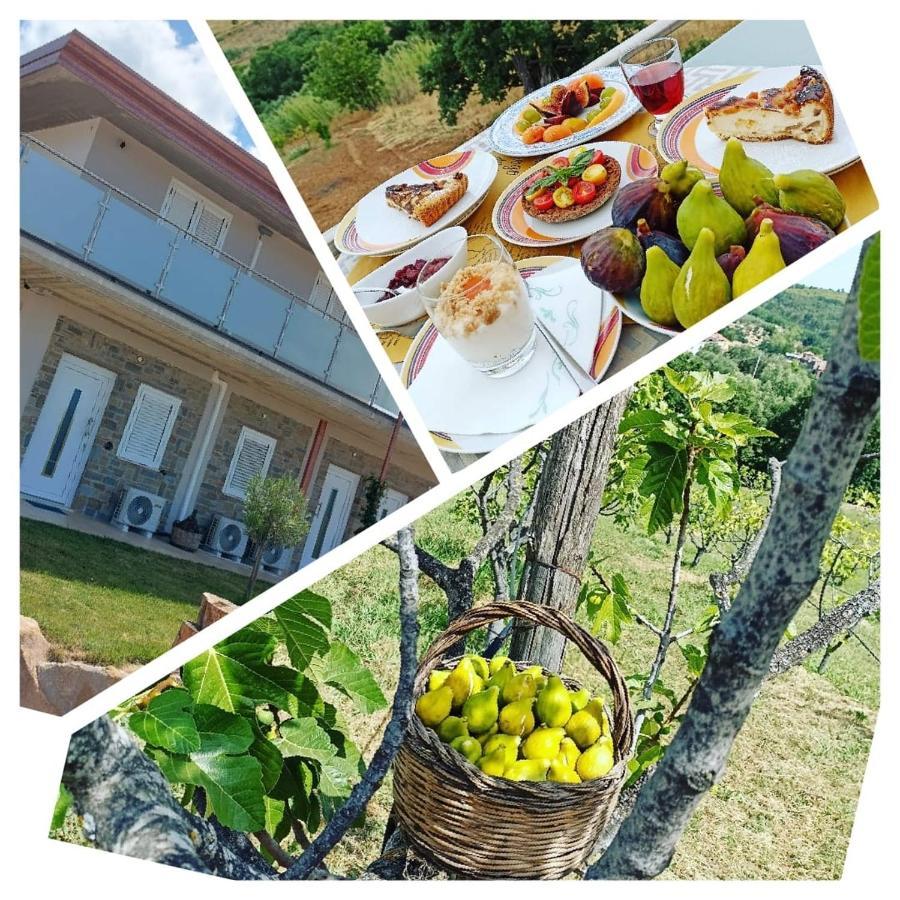 Bed and Breakfast Casa Del Sole Ceraso Екстер'єр фото