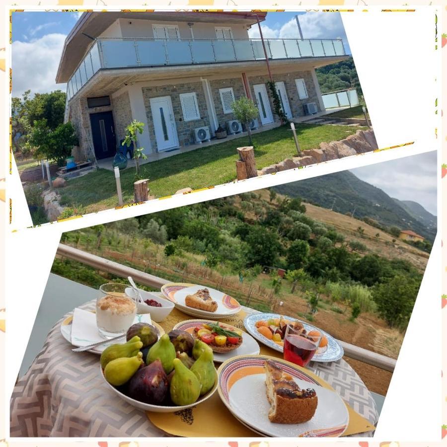 Bed and Breakfast Casa Del Sole Ceraso Екстер'єр фото